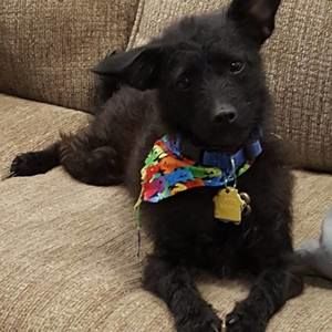 Meet your Posher, Denise